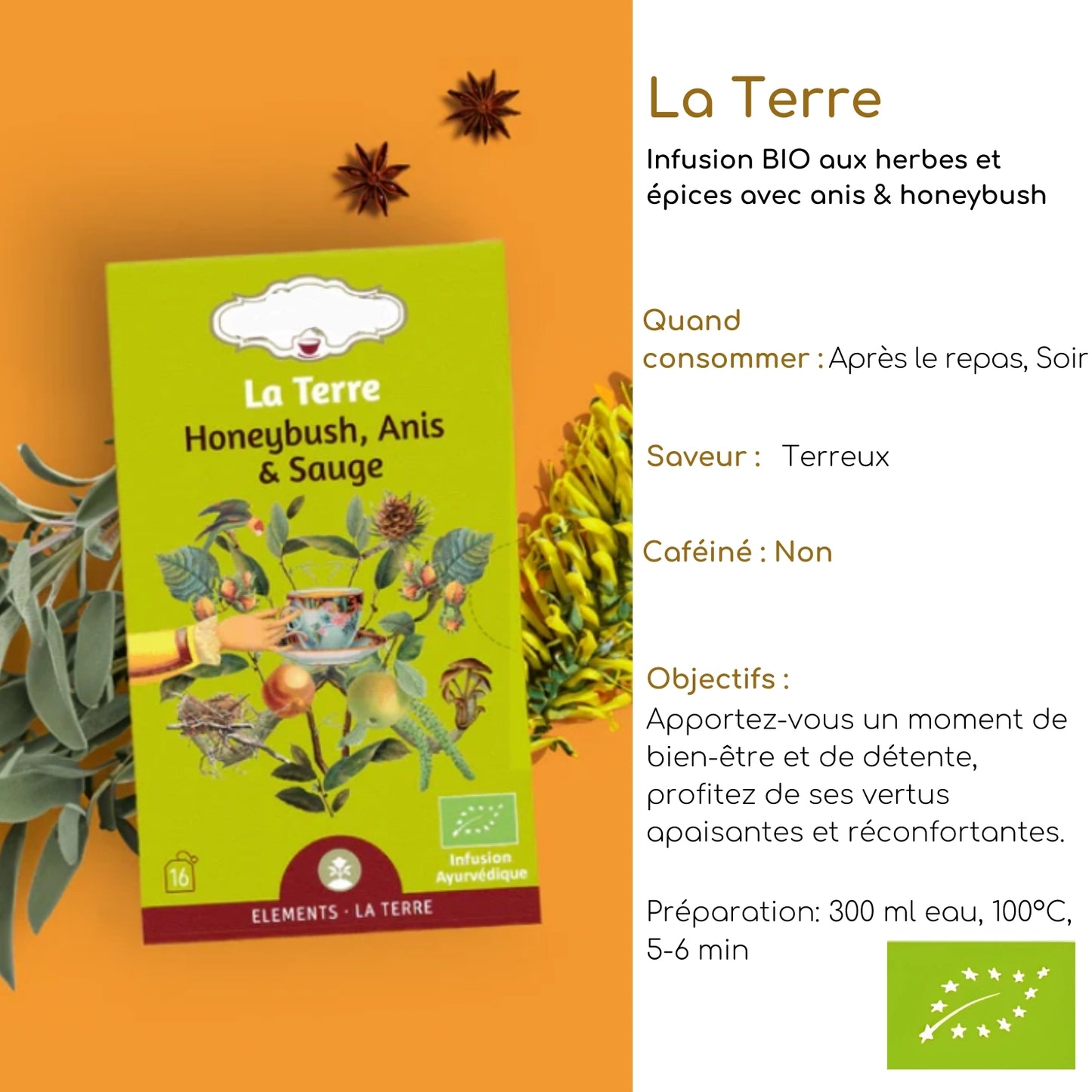 Tisane bio "LA TERRE" - Inspirée des 5 éléments pour équilibre et vitalité