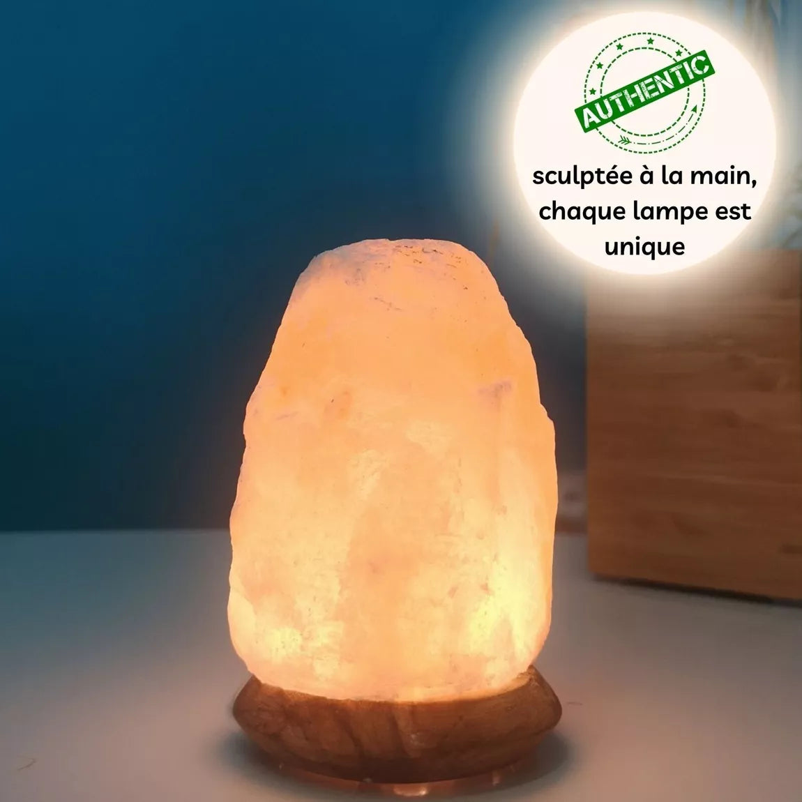 Lampe USB en cristal de sel de l'Himalaya Rock - 12 cm