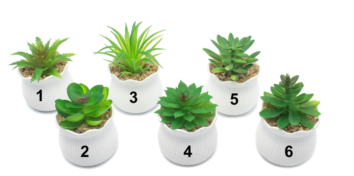 Mini plantes en pot blanc texturé - Élégance & nature sans entretien - 5,5 x 8 cm