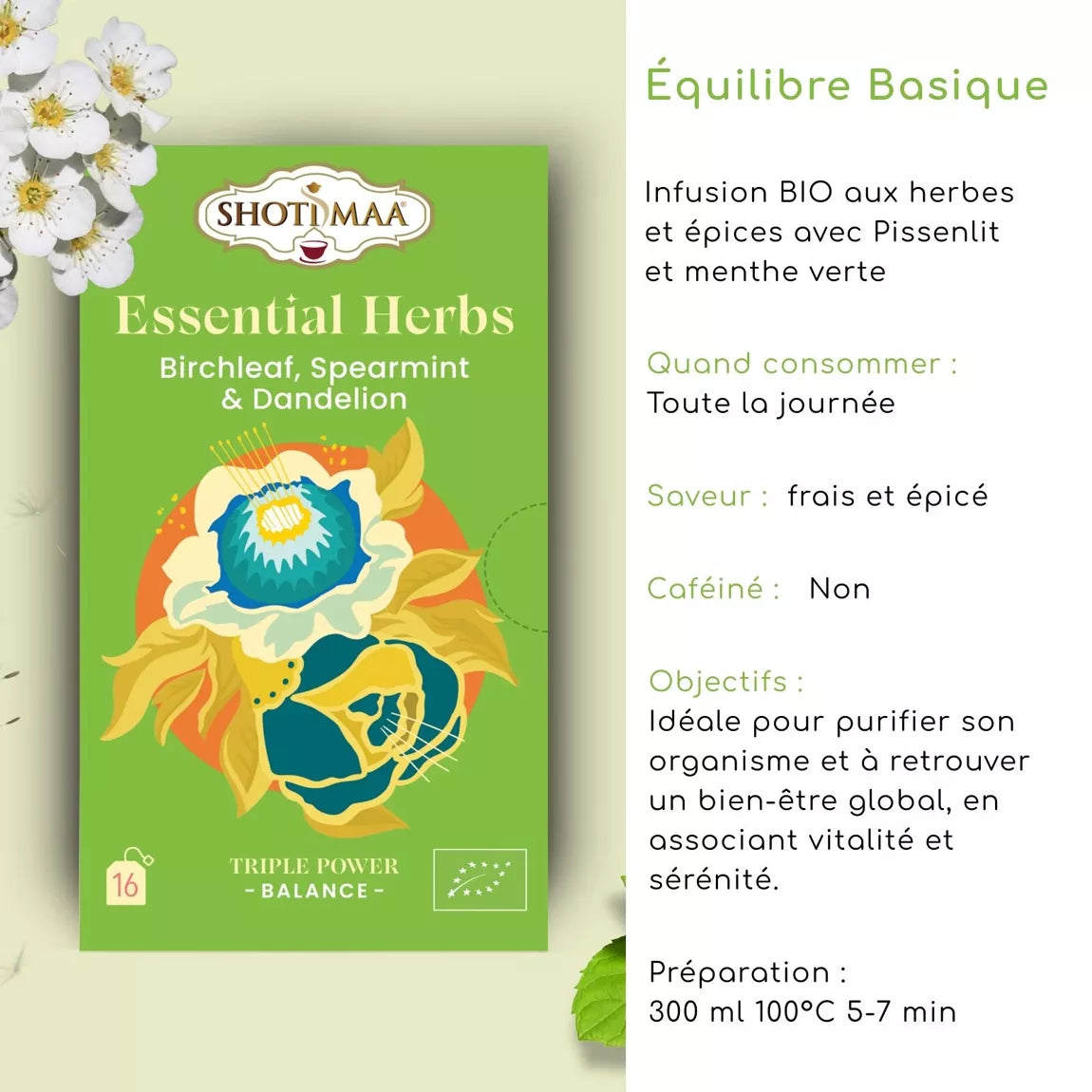 Tisane bio "ÉQUILIBRE BASIQUE" - Purifier l'organisme et retrouver harmonie et bien-être au quotidien