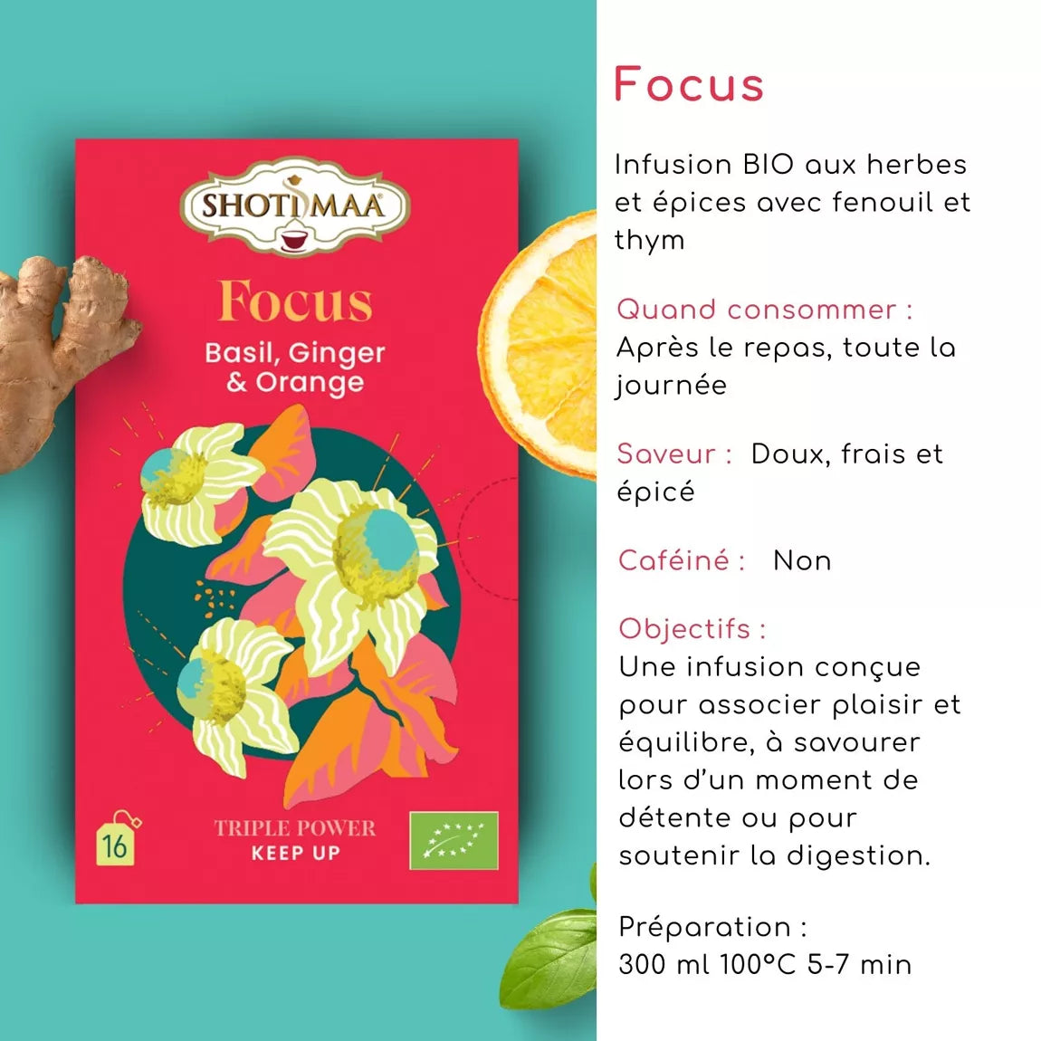 Tisane bio "FOCUS" - Apaiser l'esprit & stimuler la vitalité naturellement
