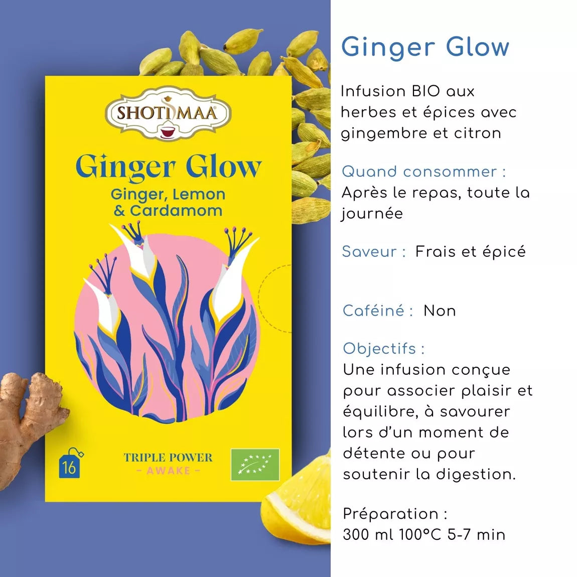 Tisane bio "GINGER GLOW" - Revitalise l'organisme, équilibre la digestion & redonne énergie et vitalité