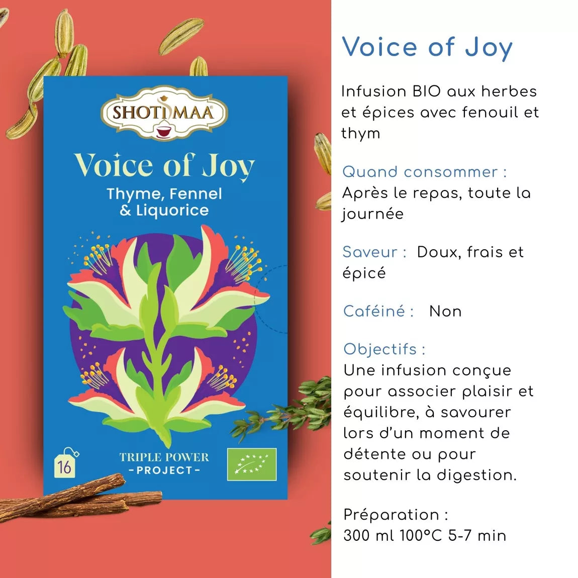 Tisane bio "VOICE OF JOY" - Idéale pour soutenir la digestion et offrir un moment gourmand de bien-être