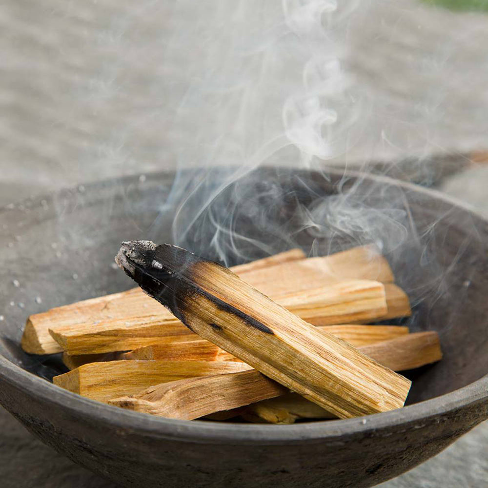 Palo Santo arbre vert