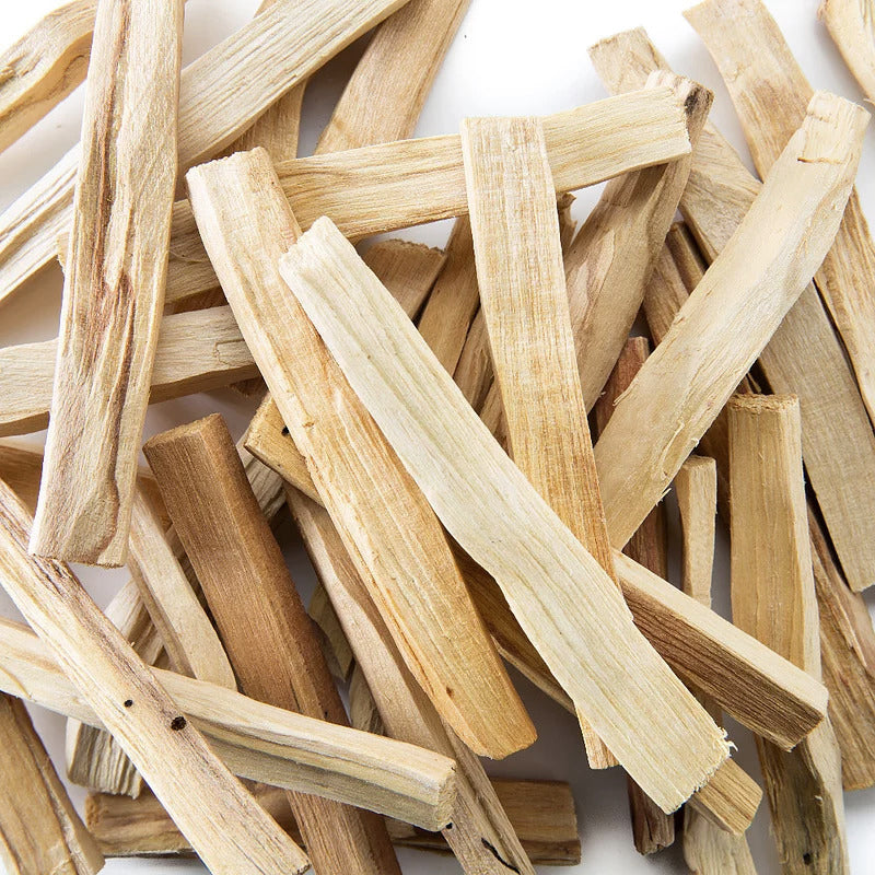 Palo Santo arbre vert
