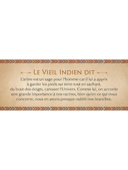 Le petit Oracle des Sagesses amérindiennes
