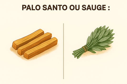 Palo Santo ou Sauge : quelle différence ?