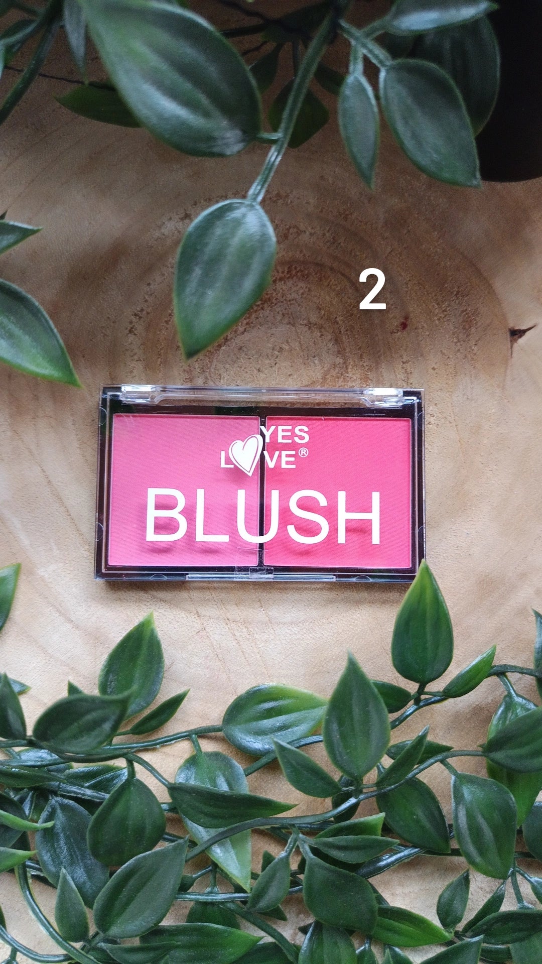 Blush compact double couleur