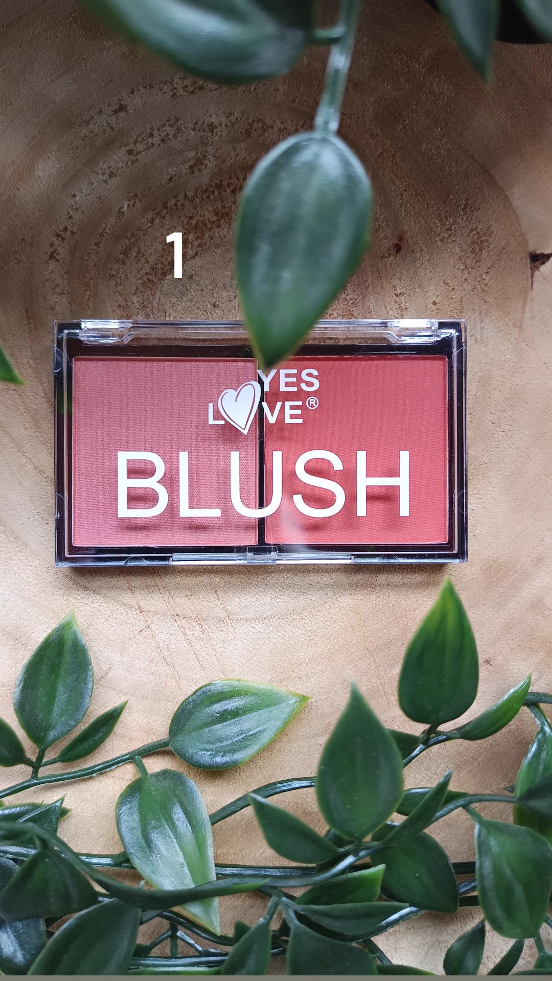 Blush compact double couleur