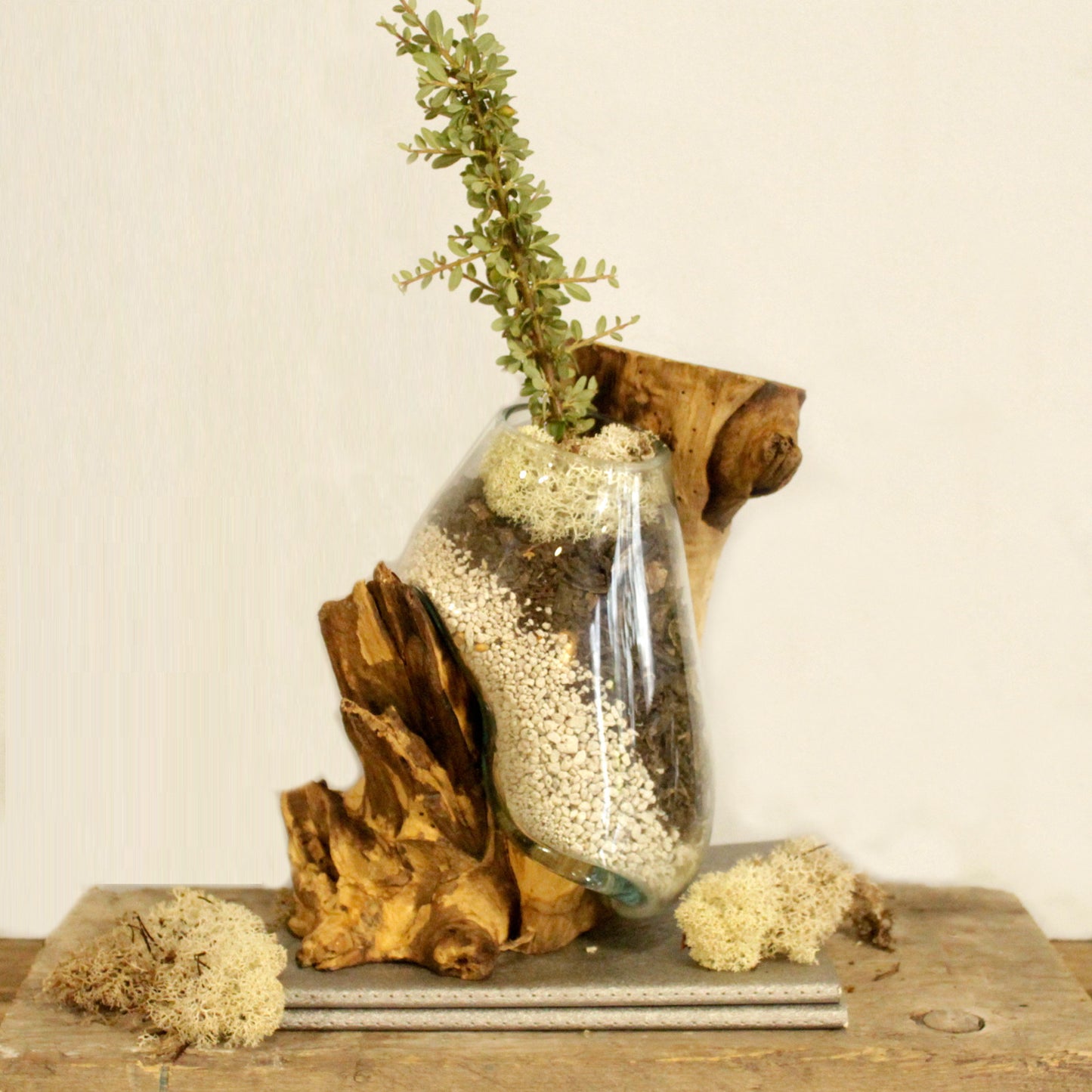 Vase en verre soufflé sur racine (plusieurs variantes)