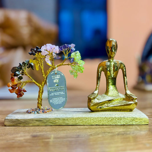 Jardin de Yoga en pierres précieuses - POSE MUDRA - 7 chakras - 100 pierres chips