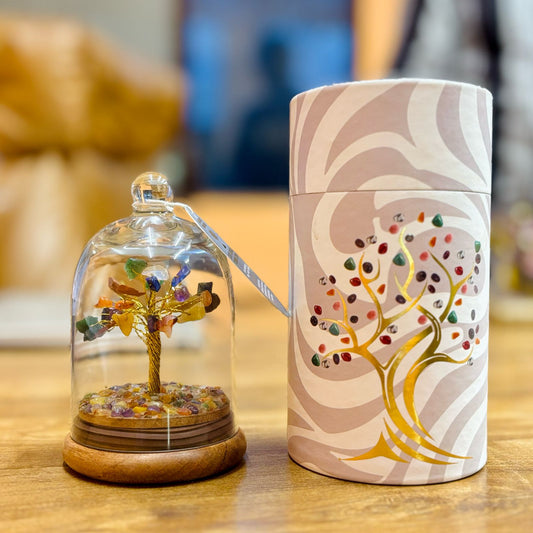 Jardin dôme en pierres précieuses - SEPT CHAKRAS - 30 pierres chips