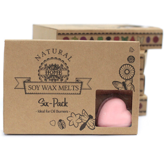Boîte de 6 fondants en cire de soja (plusieurs senteurs)