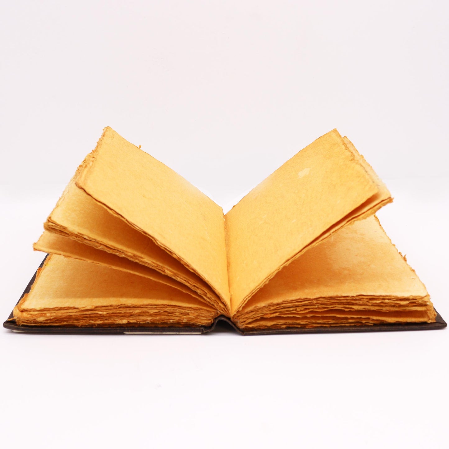 Grand format & extra large (plusieurs variantes)