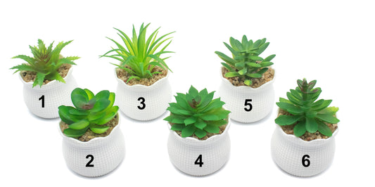 Mini plantes en pot blanc texturé - Élégance & nature sans entretien - 5,5 x 8 cm