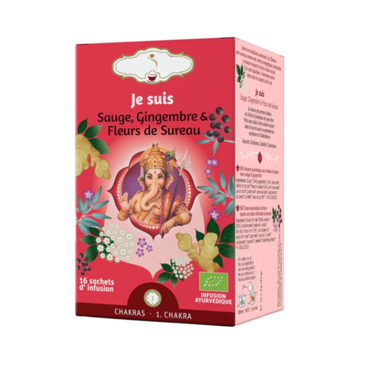 Tisane bio matinale "JE SUIS" - Moment de détente et de stabilité - 1er chakra