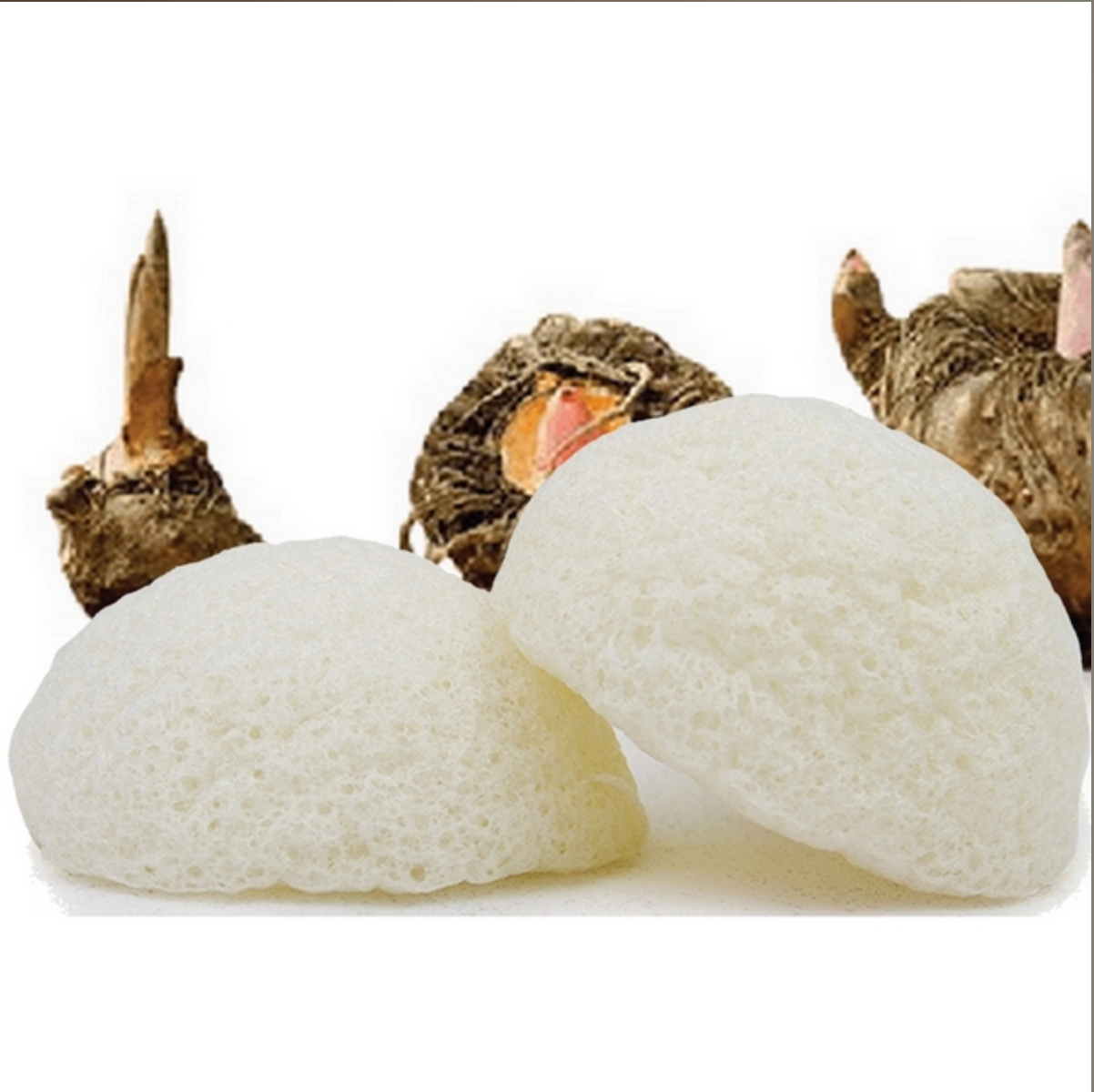 Éponge konjac spéciale yeux (2 variantes)