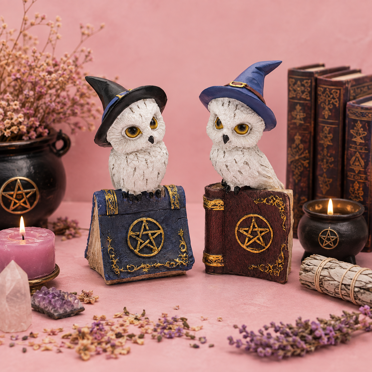 Duo de Chouettes sorcières sur livres avec pentagramme - Décoration Wicca en résine (5,7x5,5x12,5 cm)