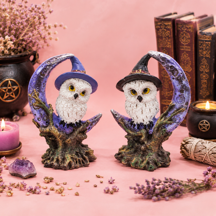 Duo de Chouettes sorcières sur croissant de lune - Décoration Wicca en résine (8x4,5x11,3 cm)