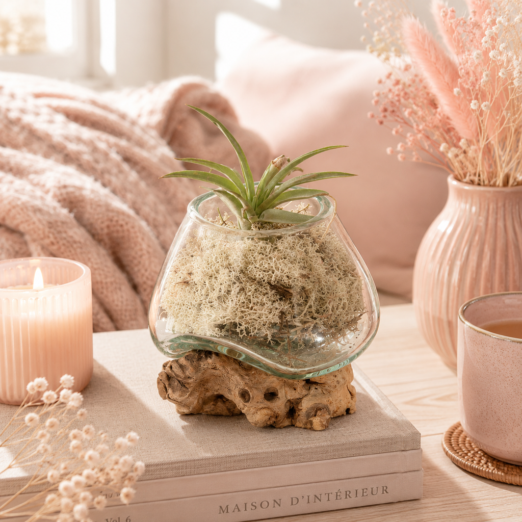 Vase en verre soufflé sur racine (plusieurs variantes)