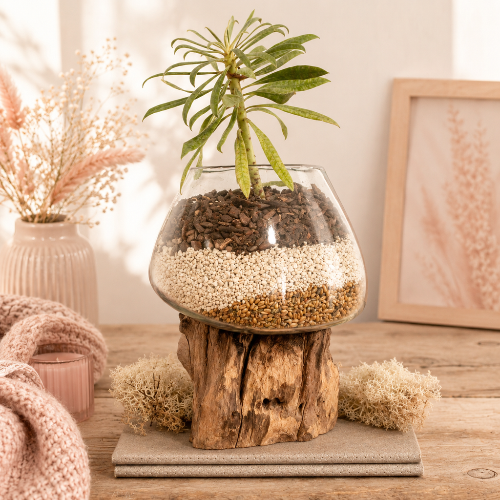 Vase en verre soufflé sur racine (plusieurs variantes)