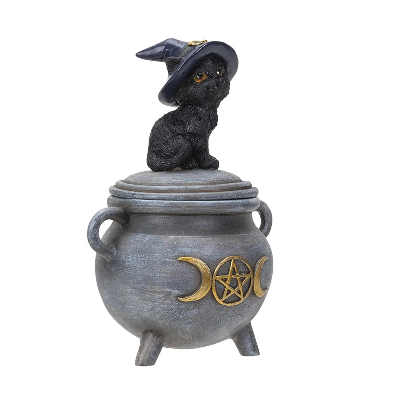 Chat noir sur boîte de chaudron