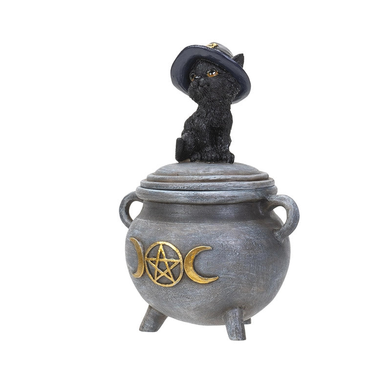 Chat noir sur boîte de chaudron