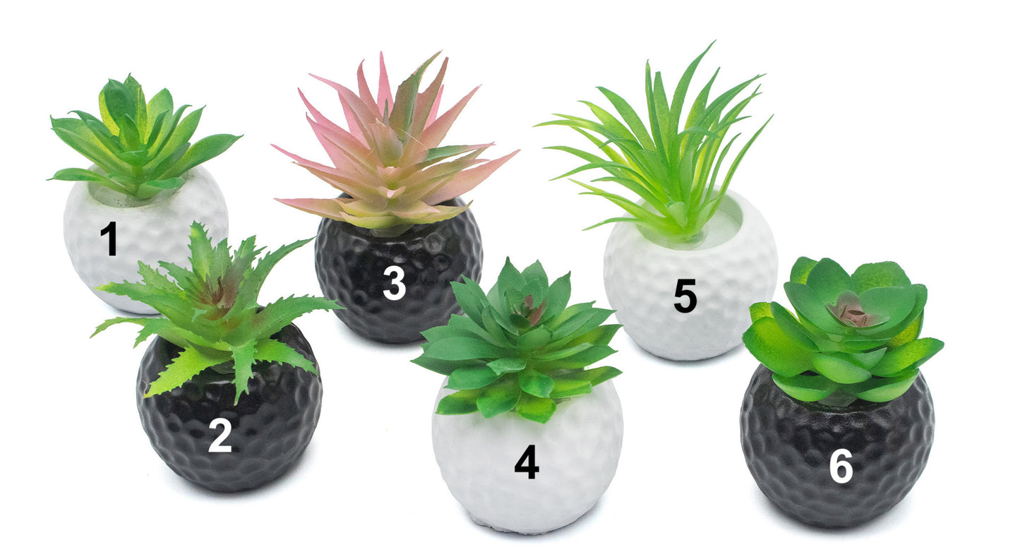 Mini plantes décoratives - Pot balle de golf noir & blanc - 5,5 x 8 cm